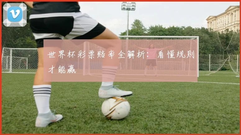 世界杯彩票赔率全解析：看懂规则才能赢