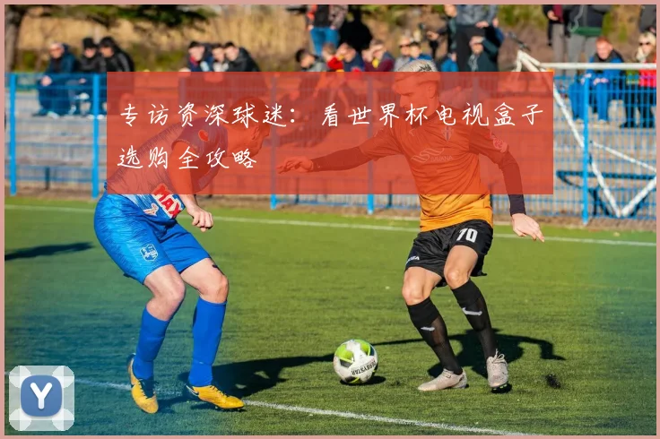 专访资深球迷：看世界杯电视盒子选购全攻略