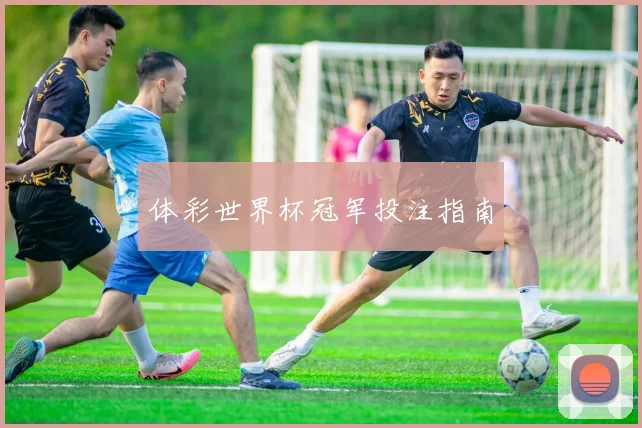 体彩世界杯冠军投注指南