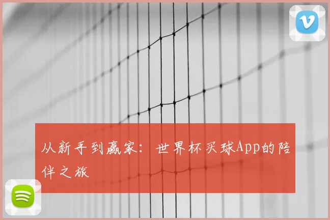 从新手到赢家:世界杯买球App的陪伴之旅