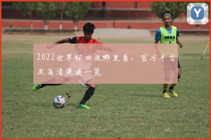 2022世界杯回放哪里看，官方平台及高清渠道一览