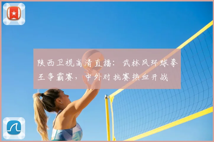 陕西卫视高清直播:武林风环球拳王争霸赛,中外对抗赛热血开战