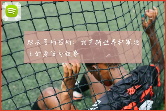 球衣号码密码：俄罗斯世界杯赛场上的身份与故事