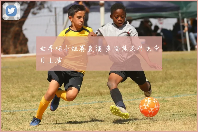 世界杯小组赛直播 多场焦点对决今日上演