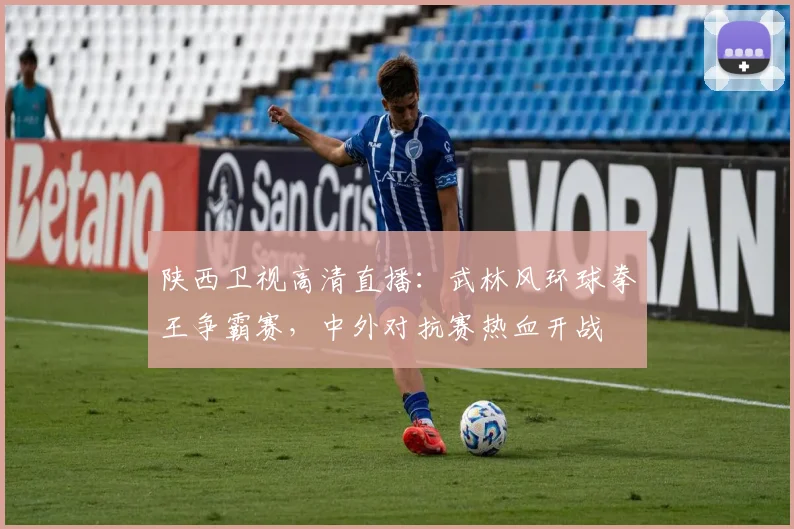 陕西卫视高清直播:武林风环球拳王争霸赛,中外对抗赛热血开战