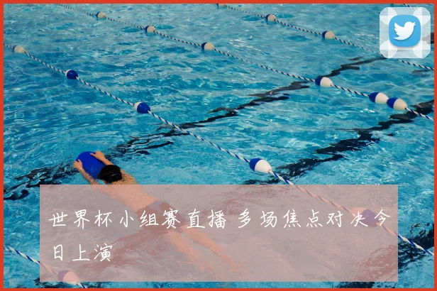 世界杯小组赛直播 多场焦点对决今日上演