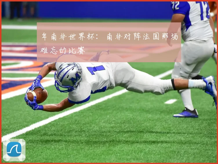 年南非世界杯：南非对阵法国那场难忘的比赛