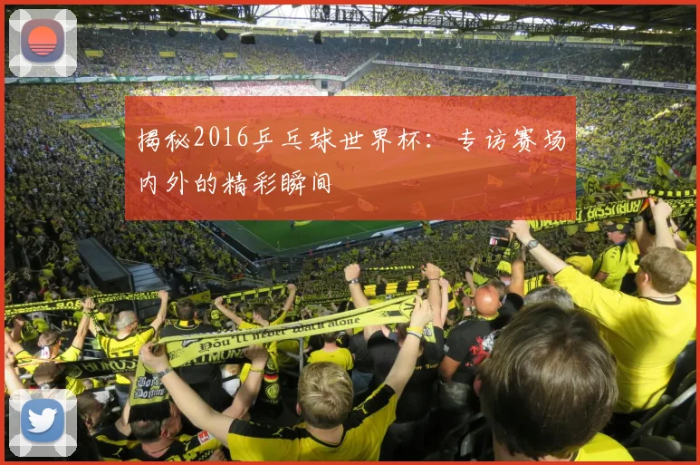 揭秘2016乒乓球世界杯：专访赛场内外的精彩瞬间