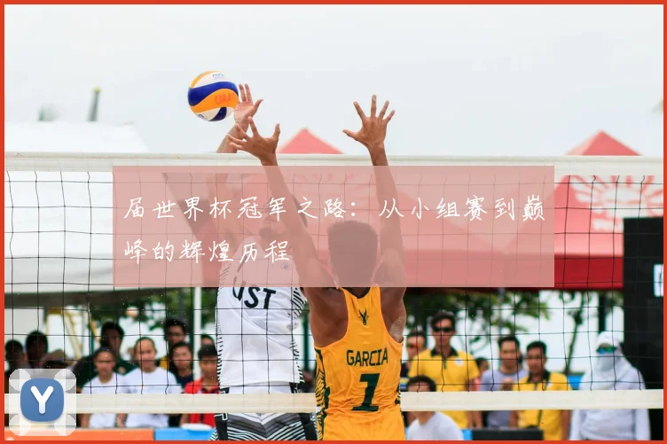 届世界杯冠军之路：从小组赛到巅峰的辉煌历程