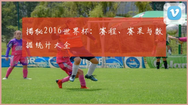 揭秘2016世界杯：赛程、赛果与数据统计大全
