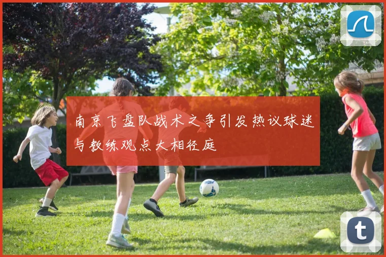 南京飞盘队战术之争引发热议球迷与教练观点大相径庭