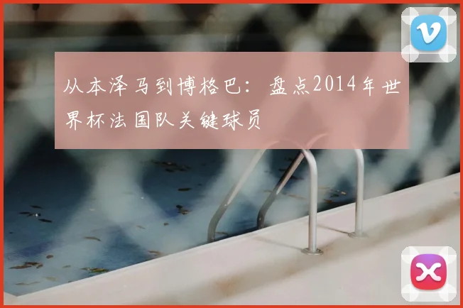 从本泽马到博格巴：盘点2014年世界杯法国队关键球员