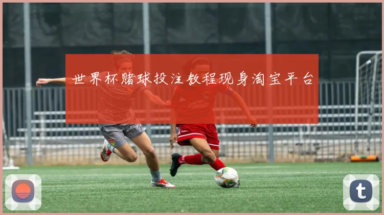 世界杯赌球投注教程现身淘宝平台