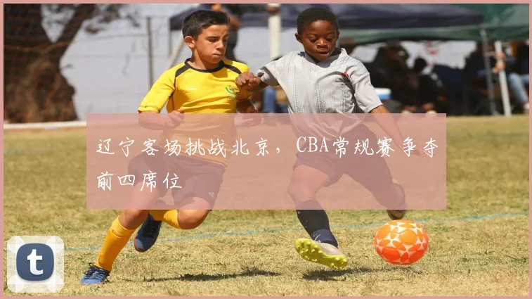 辽宁客场挑战北京,CBA常规赛争夺前四席位