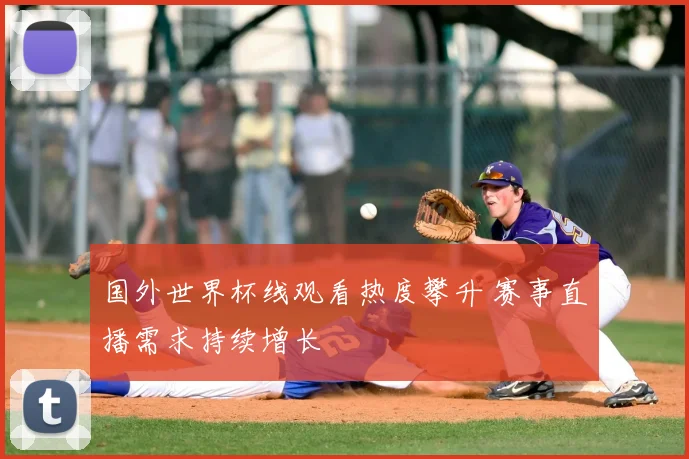 国外世界杯线观看热度攀升 赛事直播需求持续增长